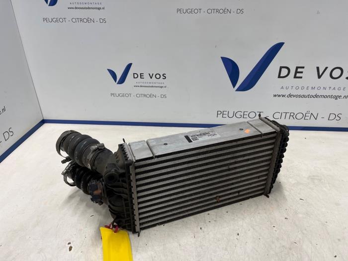 Usados Intercooler Opel Corsa F (UB/UH/UP) 1.2 Turbo 12V 100 Precio € 90,00 Norma de margen ofrecido por De Vos Onderdelen