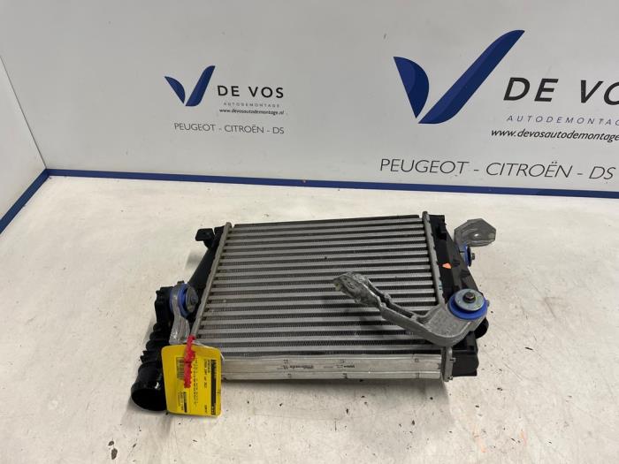 Usados Intercooler Citroen Jumpy 2.0 Blue HDI 150 Precio € 250,00 Norma de margen ofrecido por De Vos Onderdelen