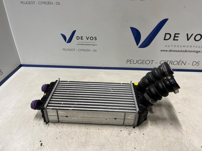 Usados Intercooler Opel Corsa F (UB/UH/UP) 1.2 Turbo 12V 100 Precio € 90,00 Norma de margen ofrecido por De Vos Onderdelen