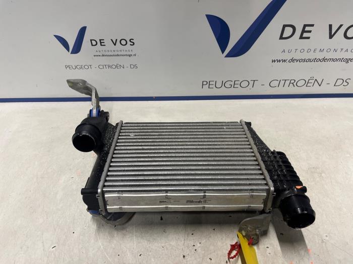 Usagé Intercooler Peugeot Expert (V1/VA/VB/VE/VF/VT/VY) 2.0 Blue HDi 150 16V Prix € 250,00 Règlement à la marge proposé par De Vos Onderdelen
