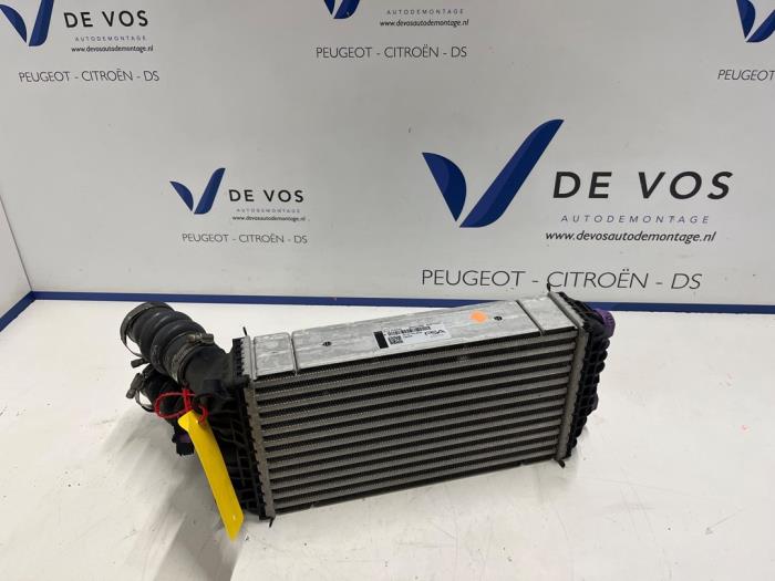 Usados Intercooler Opel Corsa F (UB/UH/UP) 1.2 Turbo 12V 100 Precio € 90,00 Norma de margen ofrecido por De Vos Onderdelen