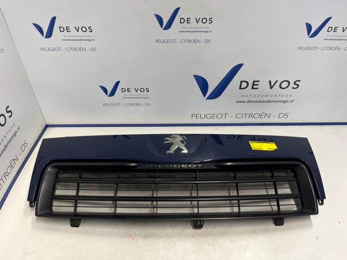 Begagnade Grill Peugeot Expert (G9) 2.0 HDiF 16V 130 4x4 Pris € 135,00 Marginaltabell erbjuds av De Vos Onderdelen