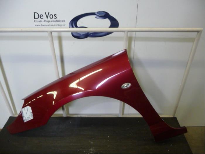 Front wing, left from a Peugeot 407 (6C/J) 2.7 HDi V6 24V 2009