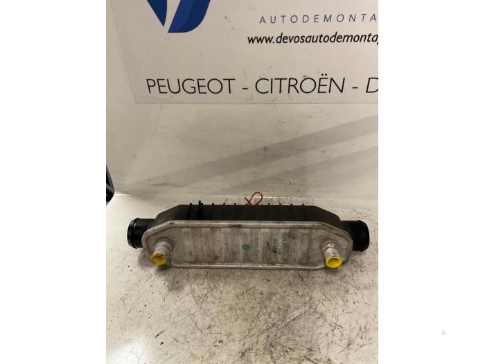 Gebrauchte Intercooler Rohr Peugeot 807 2.2 HDiF 16V Preis € 100,00 Margenregelung angeboten von De Vos Onderdelen