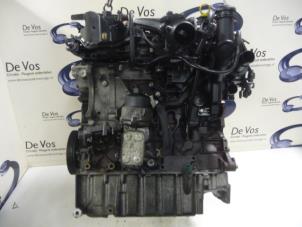 Gebrauchte Motor Citroen C5 Preis € 1.250,00 Margenregelung angeboten von De Vos Autodemontagebedrijf