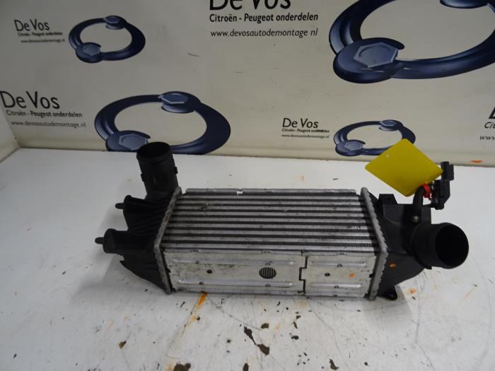 Usados Intercooler Peugeot 607 Precio € 70,00 Norma de margen ofrecido por De Vos Onderdelen