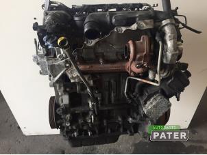 Gebrauchte Motor Ford Fiesta 6 (JA8) 1.6 TDCi 16V Preis € 472,50 Margenregelung angeboten von Autoparts Pater