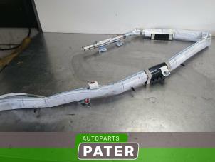 Usagé Airbag plafond gauche Kia Picanto (TA) 1.0 12V Prix € 52,50 Règlement à la marge proposé par Autoparts Pater