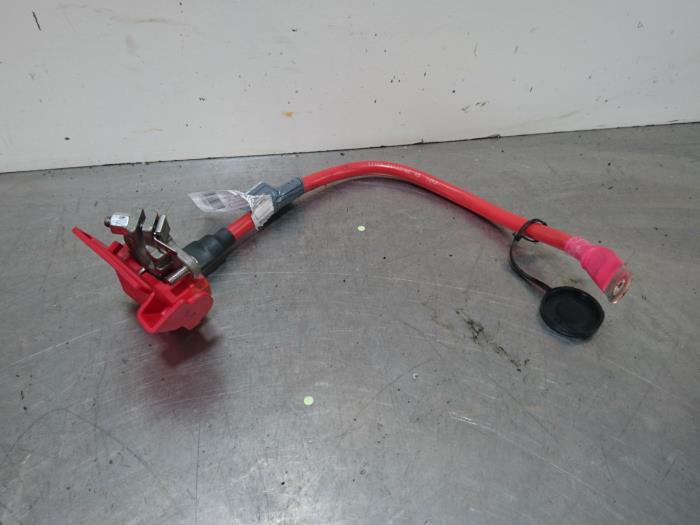 Positive cable battery