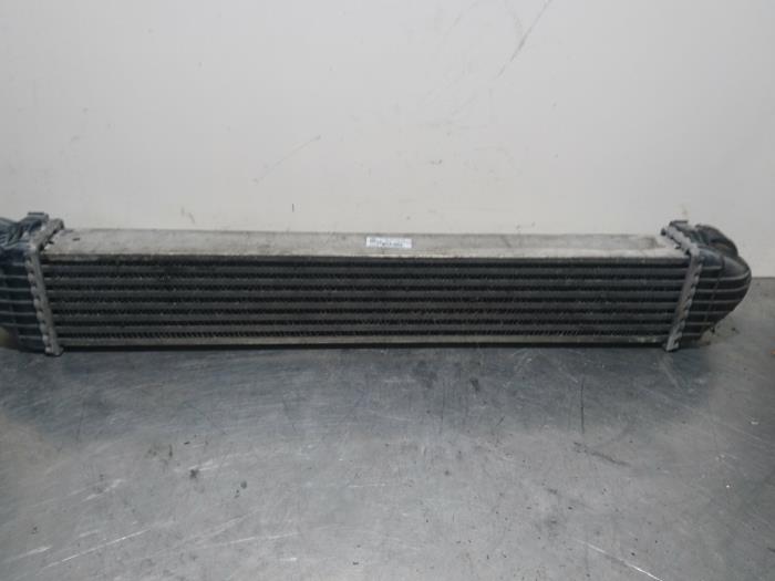 Used Intercooler Mercedes B (W245) 2.0 B-180 CDI 16V Price € 21,00 Margin scheme offered by Autoparts Pater