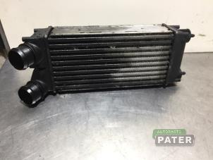 Used Intercooler Peugeot 5008 I (0A/0E) 1.6 HDiF 16V Price € 78,75 Margin scheme offered by Autoparts Pater