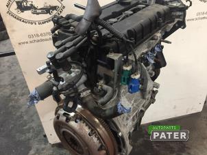 Używane Silnik Ford Focus 2 1.6 Ti-VCT 16V Cena € 472,50 Procedura marży oferowane przez Autoparts Pater