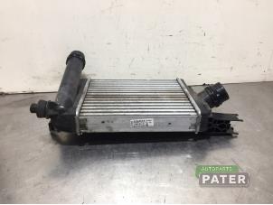 Used Intercooler Renault Clio IV Estate/Grandtour (7R) 0.9 Energy TCE 12V Price € 78,75 Margin scheme offered by Autoparts Pater