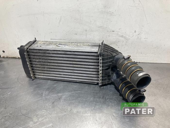 Usados Intercooler Citroen DS3 (SA) 1.6 e-HDi Precio € 52,50 Norma de margen ofrecido por Autoparts Pater
