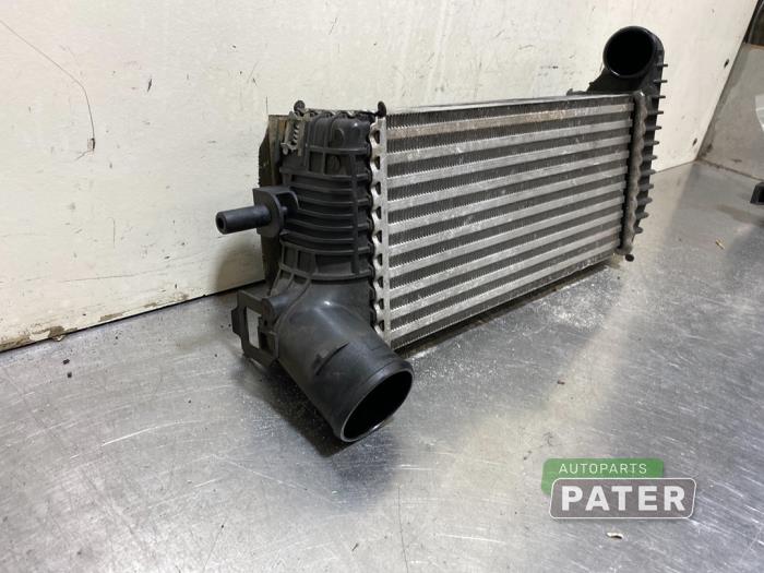 Intercooler from a Ford Transit Connect (PJ2) 1.6 TDCi 16V 115 2014
