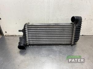Used Intercooler Ford Transit Connect (PJ2) 1.6 TDCi 16V 115 Price € 76,23 Inclusive VAT offered by Autoparts Pater