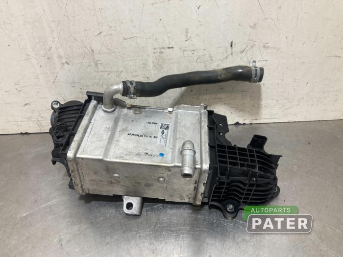 Usados Intercooler Ford Focus 4 Wagon 1.5 EcoBlue 120 Precio € 78,75 Norma de margen ofrecido por Autoparts Pater