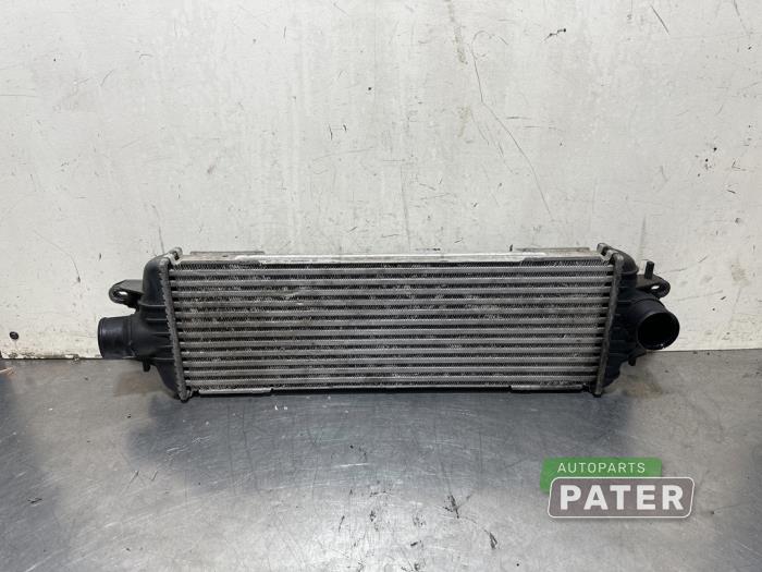 Usagé Intercooler Opel Vivaro 2.5 DTI 16V Prix € 31,76 Prix TTC proposé par Autoparts Pater