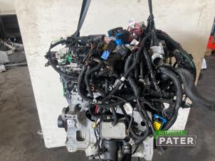 Używane Silnik Renault Express 1.5 dCi 75 Cena € 2.731,58 Z VAT oferowane przez Autoparts Pater