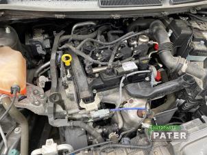 Usados Caja de cambios Ford Fiesta 6 (JA8) 1.0 SCI 12V 80 Precio € 420,00 Norma de margen ofrecido por Autoparts Pater