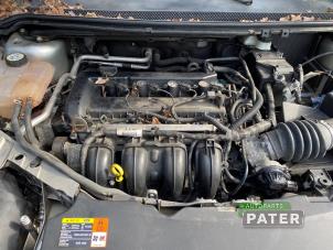 Used Engine Ford Focus 2 C+C 2.0 16V Price € 1.048,95 Margin scheme offered by Autoparts Pater