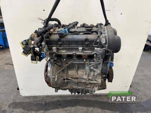 Używane Silnik Ford Focus 3 1.6 Ti-VCT 16V 125 Cena € 892,50 Procedura marży oferowane przez Autoparts Pater