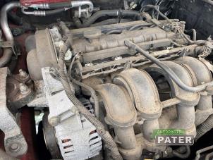 Used Engine Ford Focus 3 1.6 Ti-VCT 16V 125 Price on request offered by Autoparts Pater