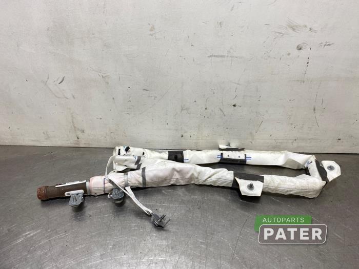 Używane Kurtyna prawa Tesla Model X 75D Cena € 210,00 Procedura marży oferowane przez Autoparts Pater