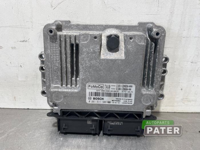 Used Engine management computer Ford Fiesta 6 (JA8) 1.0 EcoBoost 12V 100 Price € 131,25 Margin scheme offered by Autoparts Pater