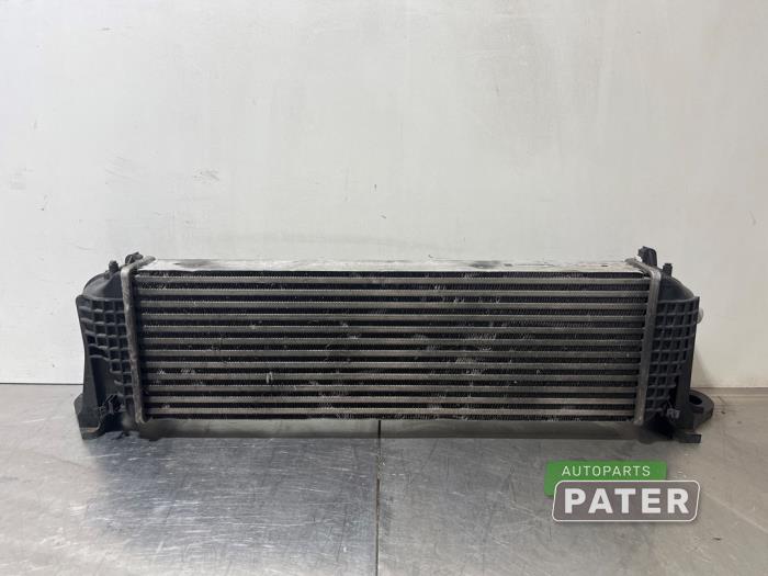 Usados Intercooler Iveco New Daily VI 33.180,35.180,52.180,60.180, 70.180. 72.180 Precio € 190,58 IVA incluido ofrecido por Autoparts Pater