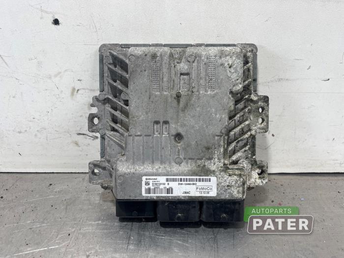 Used Engine management computer Ford Transit Connect (PJ2) 1.6 TDCi 16V 95 Price € 190,58 Inclusive VAT offered by Autoparts Pater