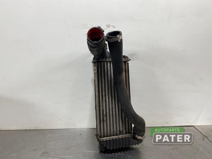 Usagé Intercooler Ford Transit Connect (PJ2) 1.6 TDCi 16V 95 Prix € 50,82 Prix TTC proposé par Autoparts Pater
