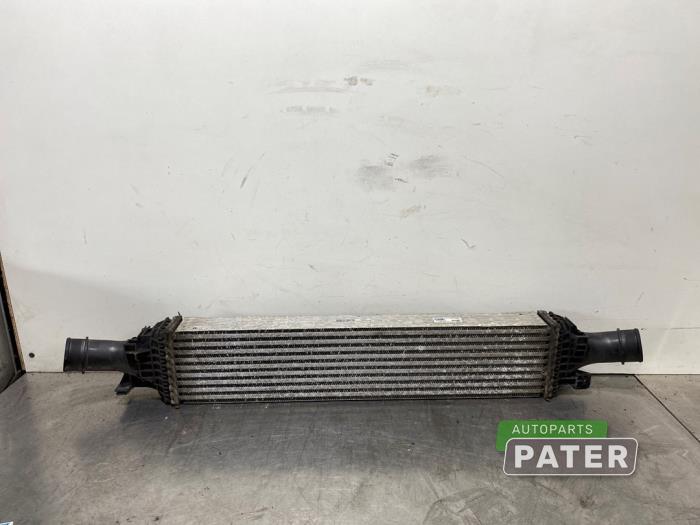 Usados Intercooler Audi Q5 (8RB) 2.0 TDI 16V Quattro Precio € 42,00 Norma de margen ofrecido por Autoparts Pater