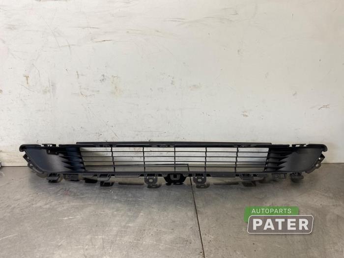Używane Grill Tesla Model Y (5YJY) Long Range,Performance Cena € 84,00 Procedura marży oferowane przez Autoparts Pater