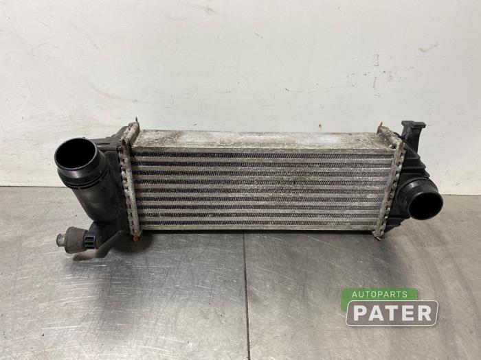 Usagé Intercooler Renault Kangoo Express (FW) 1.5 dCi 90 FAP Prix € 57,17 Prix TTC proposé par Autoparts Pater