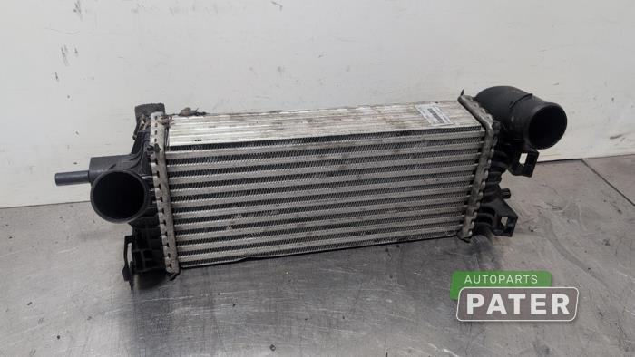 Used Intercooler Ford Focus 3 Wagon 1.0 Ti-VCT EcoBoost 12V 125 Price € 31,50 Margin scheme offered by Autoparts Pater