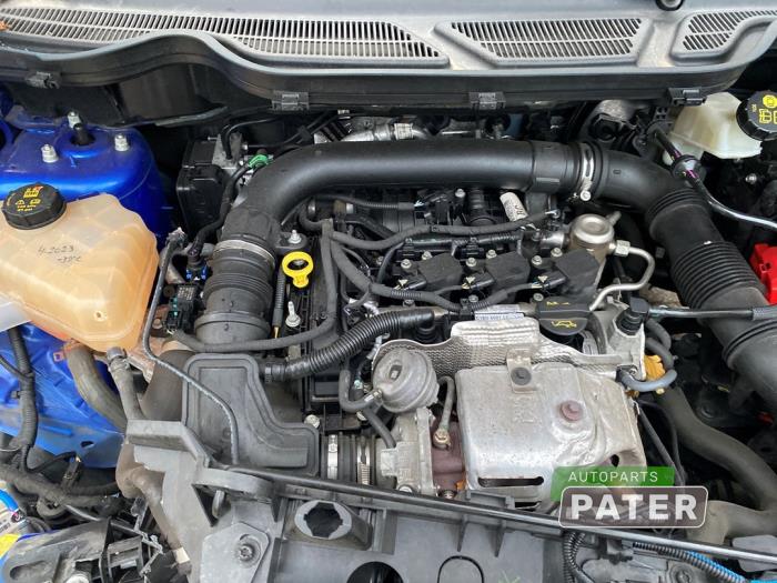 Used Engine Ford EcoSport (JK8) 1.0 EcoBoost 12V 125 Price € 2.362,50 Margin scheme offered by Autoparts Pater