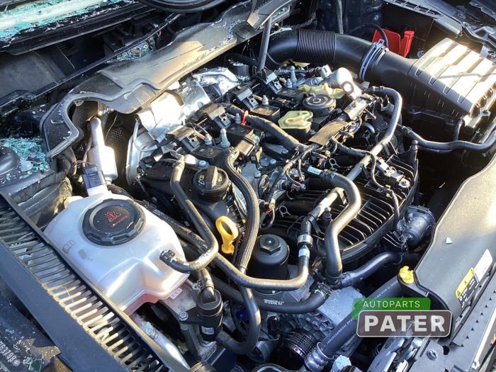 Engine from a Volkswagen Polo VI (AW1) 2.0 GTI 2024