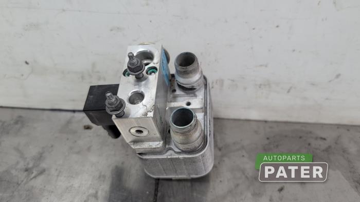 Usagé Echangeur de chaleur Peugeot 208 II (UB/UH/UP) e-208 50 kWh Prix € 31,50 Règlement à la marge proposé par Autoparts Pater