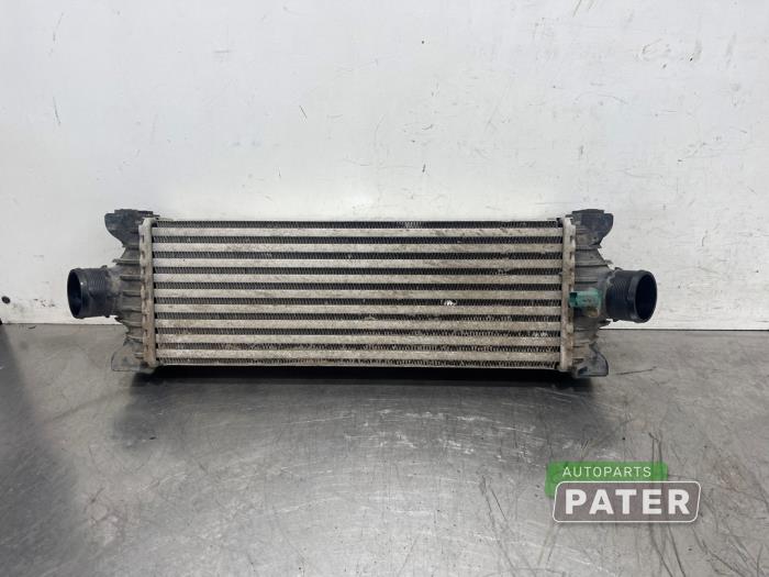 Used Intercooler Ford Transit Custom 2.2 TDCi 16V Price € 95,29 Inclusive VAT offered by Autoparts Pater