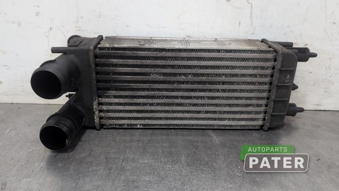 Usados Intercooler Peugeot 508 SW (8E/8U) 1.6 HDiF 16V Precio € 26,25 Norma de margen ofrecido por Autoparts Pater