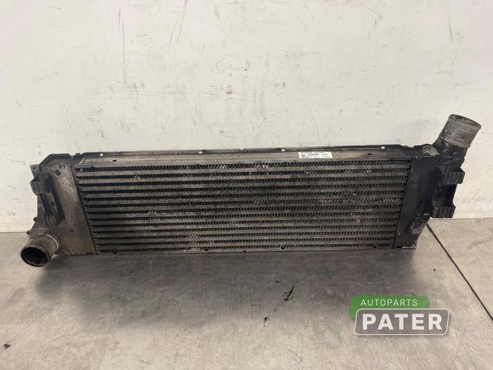 Usados Intercooler Renault Megane II (BM/CM) 1.9 dCi 120 Precio € 21,00 Norma de margen ofrecido por Autoparts Pater