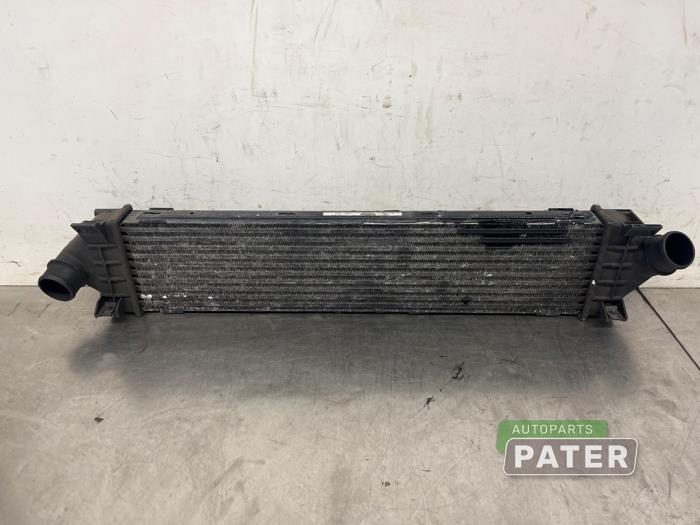 Usados Intercooler Ford S-Max (GBW) 2.0 TDCi 16V 140 Precio € 21,00 Norma de margen ofrecido por Autoparts Pater