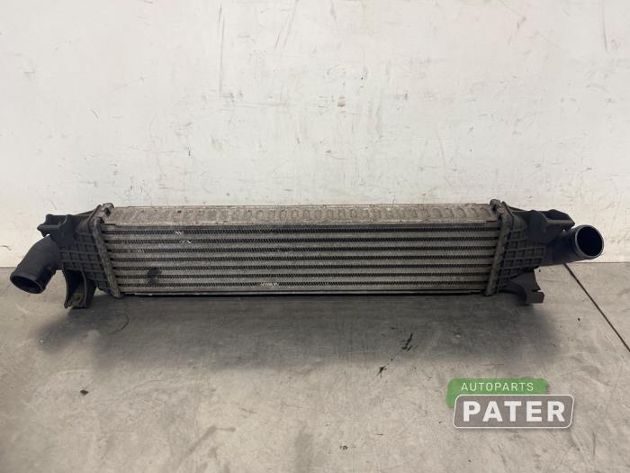 Usados Intercooler Ford Focus C-Max 1.6 TDCi 16V Precio € 26,25 Norma de margen ofrecido por Autoparts Pater