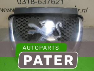 Usados Rejilla Peugeot 308 SW (4E/H) 1.6 VTI 16V Precio € 36,75 Norma de margen ofrecido por Autoparts Pater