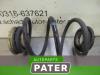 Rear coil spring from a Renault Twingo II (CN), 2007 / 2014 1.2, Hatchback, 2-dr, Petrol, 1.149cc, 43kW (58pk), FWD, D7F800; EURO4, 2007-03 / 2014-09, CN0D 2008