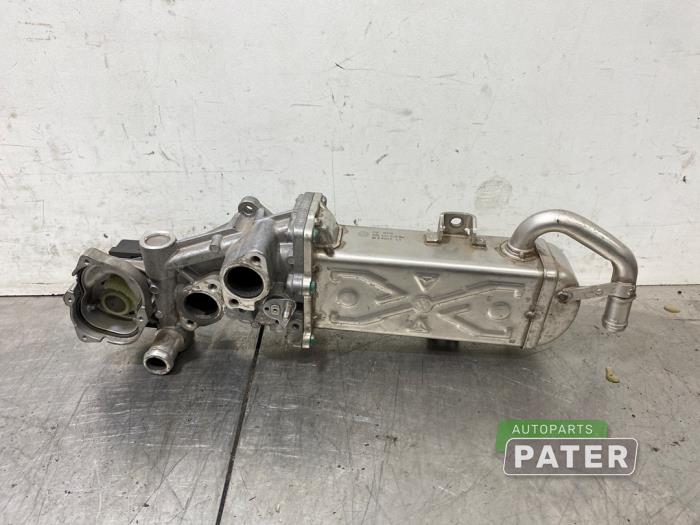 EGR valve cooler