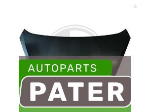 New Bonnet Kia Picanto (TA) 1.0 12V Price € 127,05 Inclusive VAT offered by Autoparts Pater