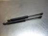 Set of bonnet gas struts from a BMW 3 serie Compact (E46/5), 2001 / 2005 316ti 16V, Hatchback, Petrol, 1.796cc, 85kW (116pk), RWD, N42B18A, 2001-06 / 2004-03, AT51; AT52 2001