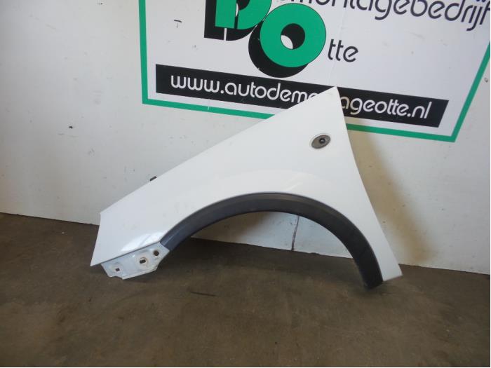 Front wing, left from a Opel Combo (Corsa C) 1.7 DI 16V 2004